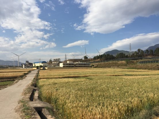 C:\Users\Administrator\AppData\Local\Microsoft\Windows\Temporary Internet Files\Content.Word\IMG_2128.jpg